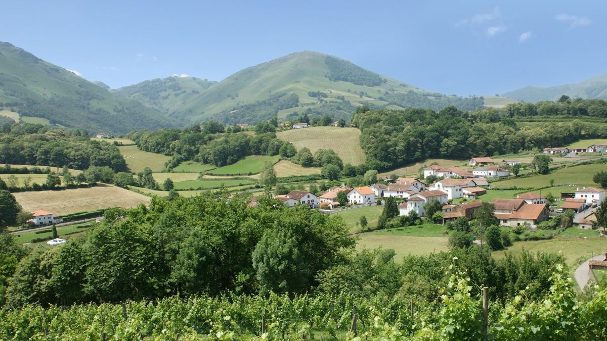 Visitez Irouléguy au Pays Basque