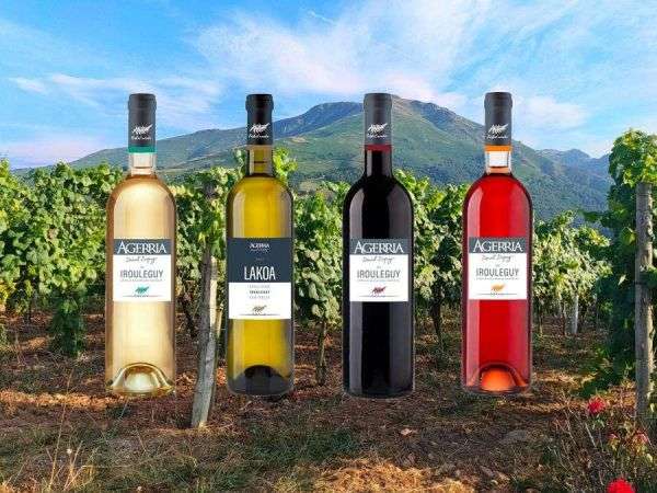 Domaine Agerria, vins d'Irouleguy AOP